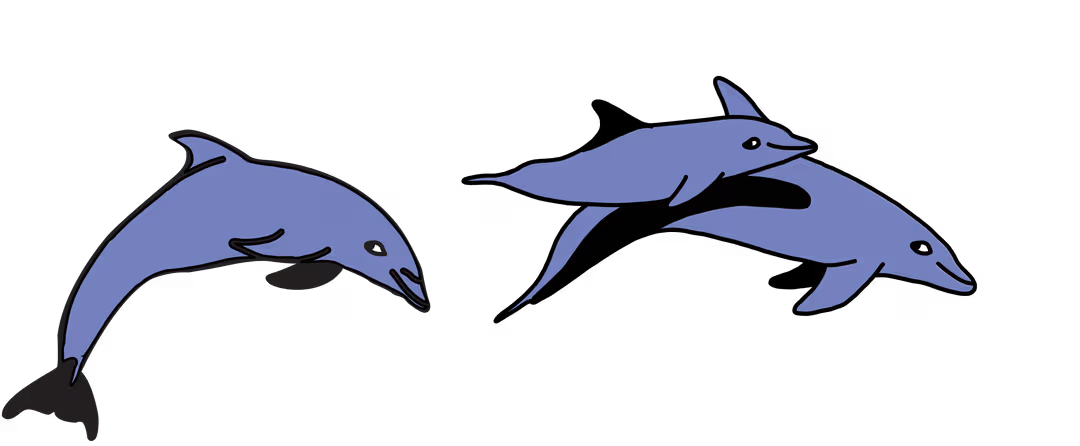 Dolphin Layer 1